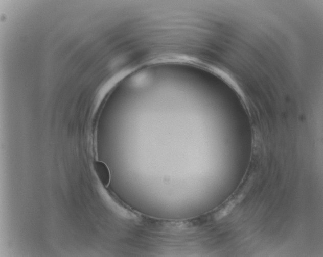 X0000075831003200610061817