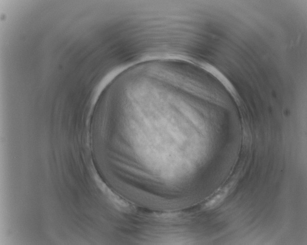 X0000075831004200610061817