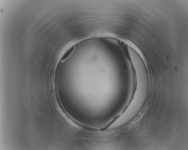 X0000075831005200610061817