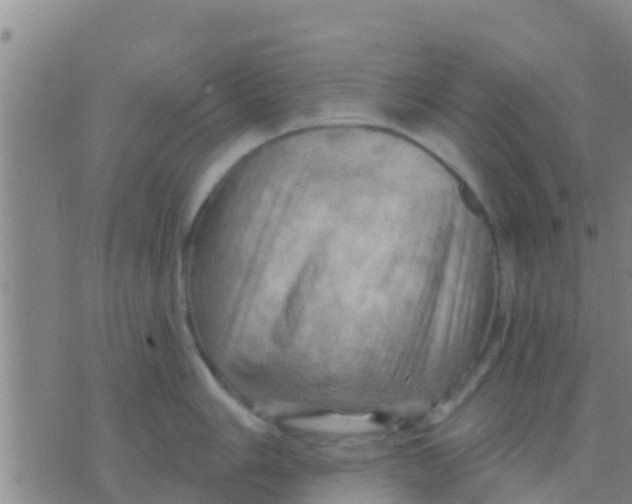 X0000075831006200610061817