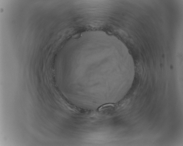 X0000075831009200610061816