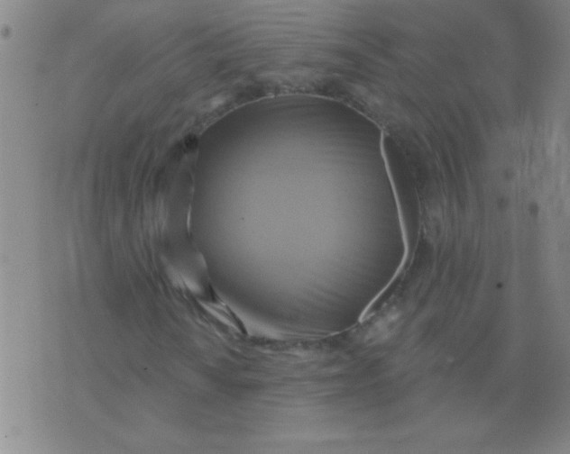 X0000075831010200610061816