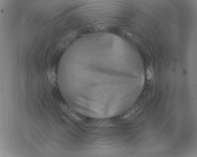 X0000075831011200610061816