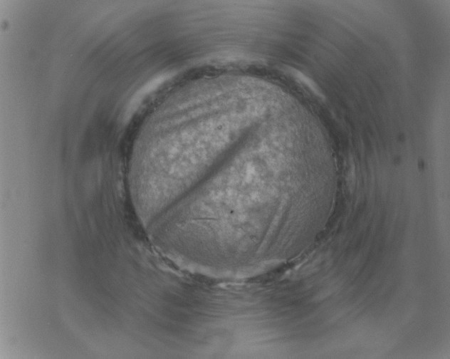 X0000075831016200610061816