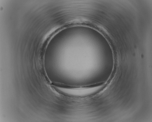 X0000075831018200610061816