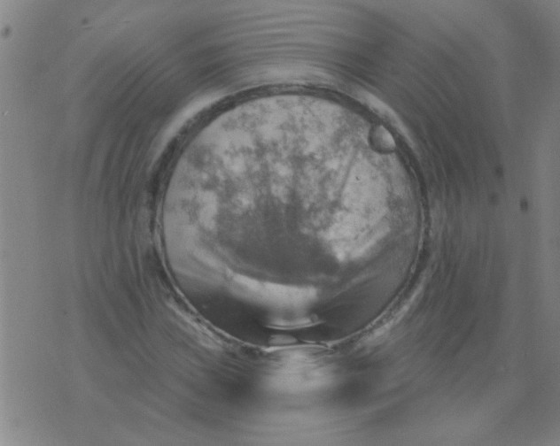 X0000075831019200610061816