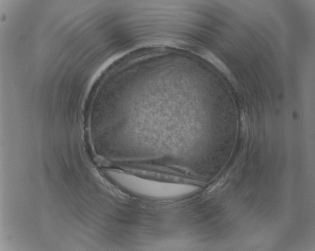 X0000075831020200610061816