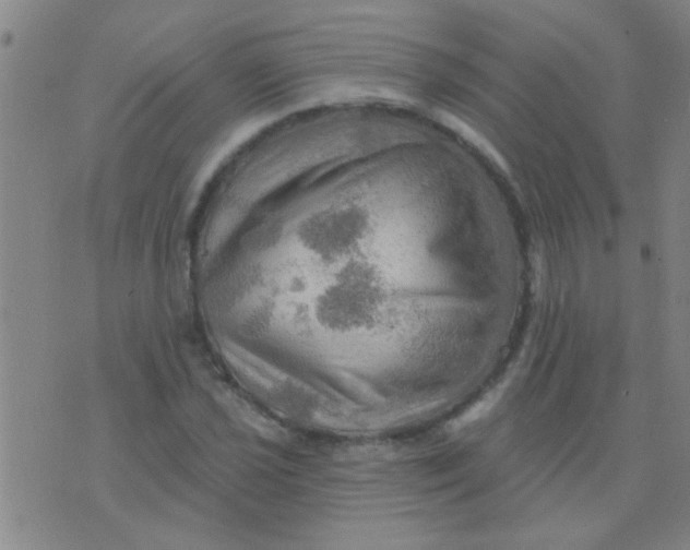 X0000075831021200610061816