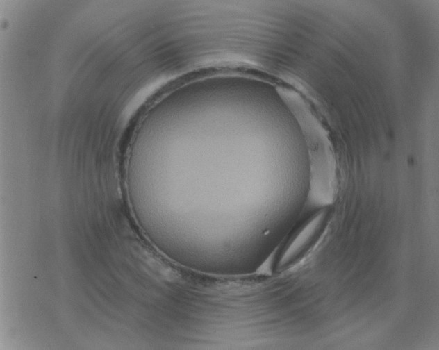 X0000075831022200610061816