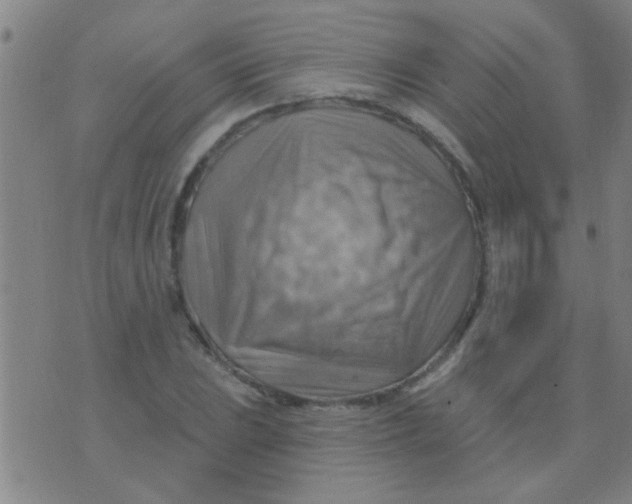 X0000075831023200610061816