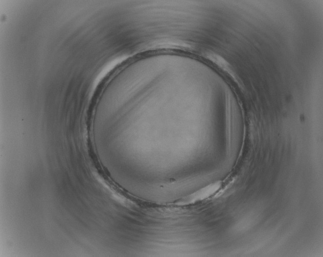 X0000075831024200610061816