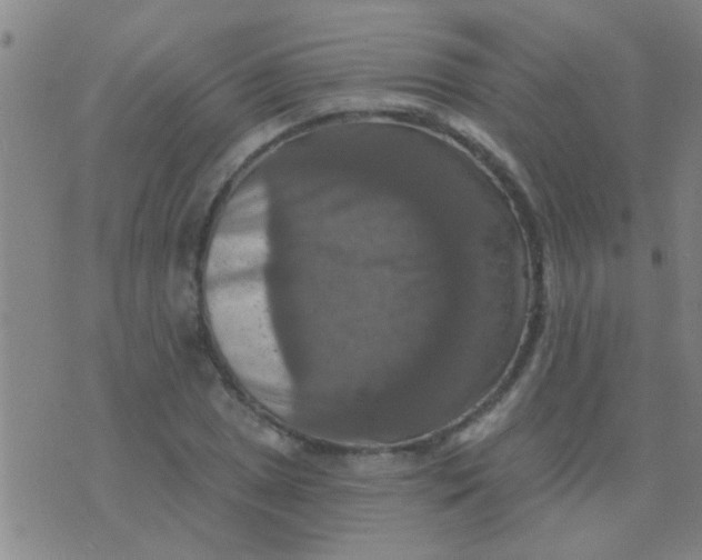 X0000075831025200610061816