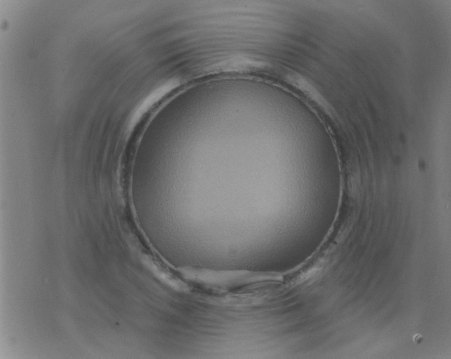 X0000075831026200610061817