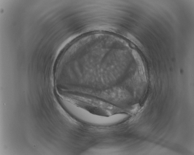 X0000075831028200610061817