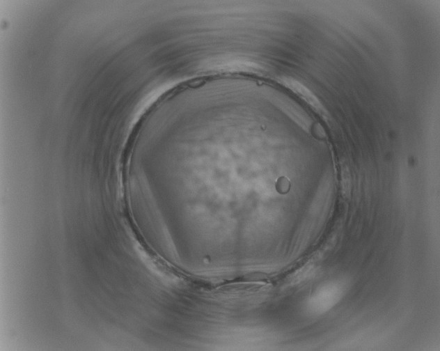 X0000075831031200610061817