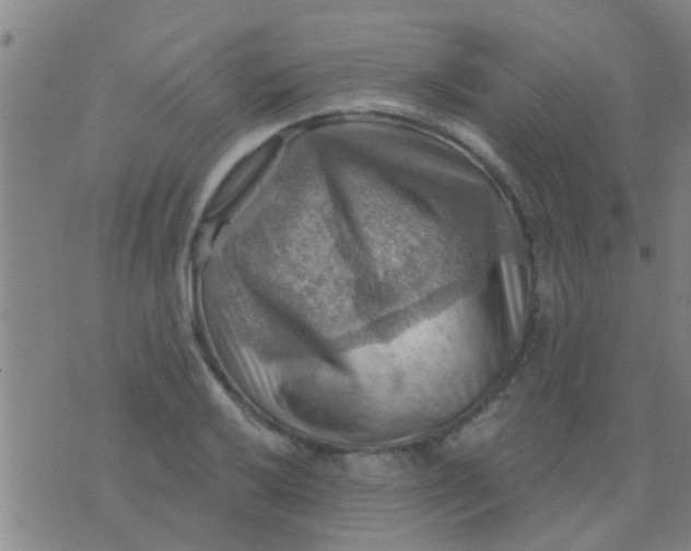 X0000075831032200610061817