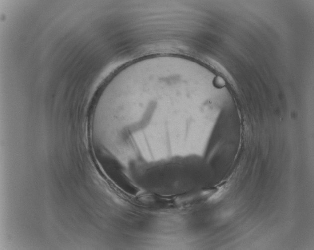 X0000075831035200610061817