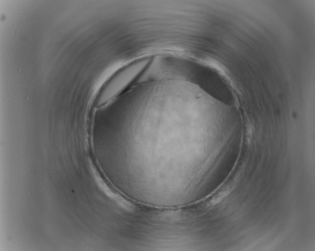 X0000075831038200610061817