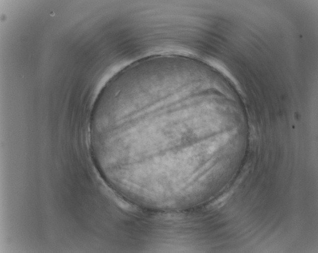 X0000075831040200610061817