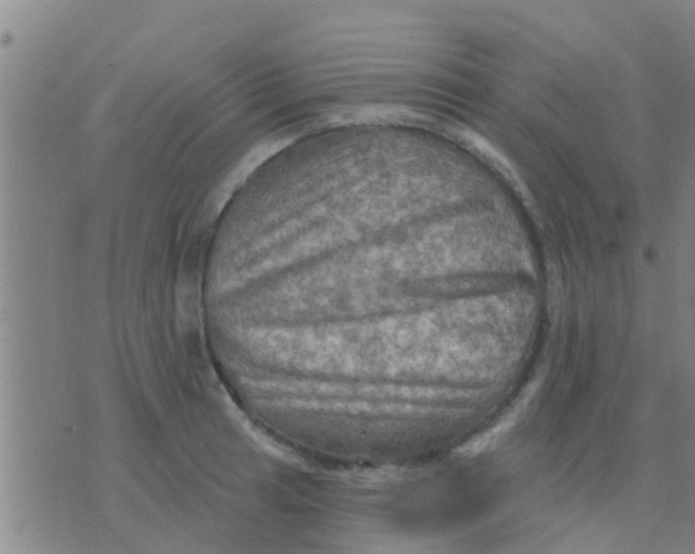 X0000075831041200610061817