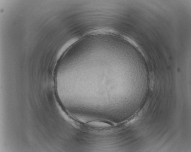 X0000075831042200610061817