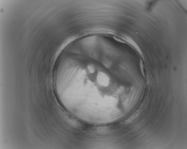 X0000075831043200610061817