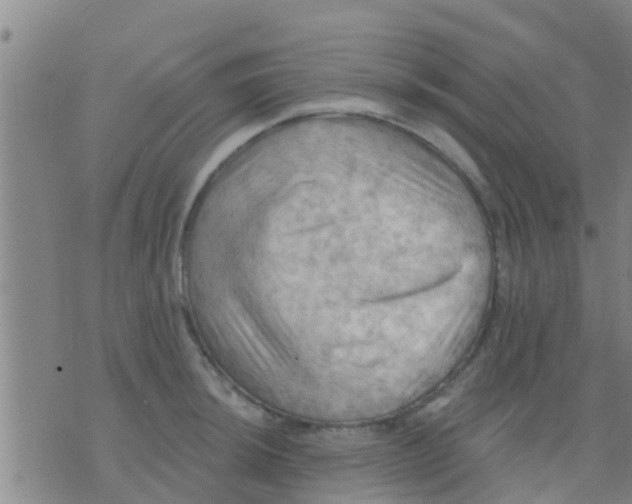 X0000075831044200610061817