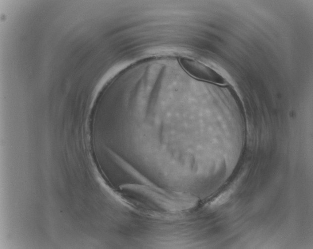 X0000075831045200610061817