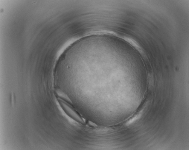 X0000075831046200610061817