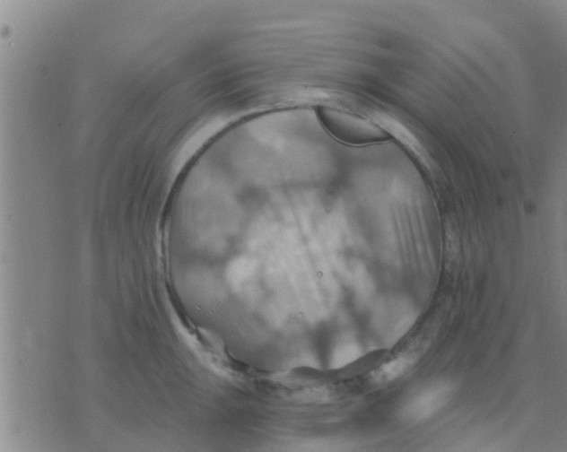 X0000075831047200610061817