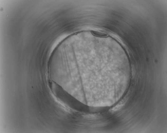 X0000075831048200610061817