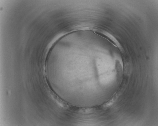 X0000075831051200610061817