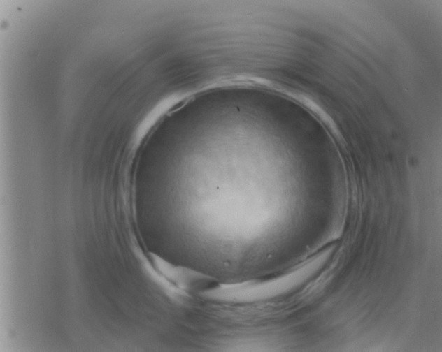 X0000075831054200610061817