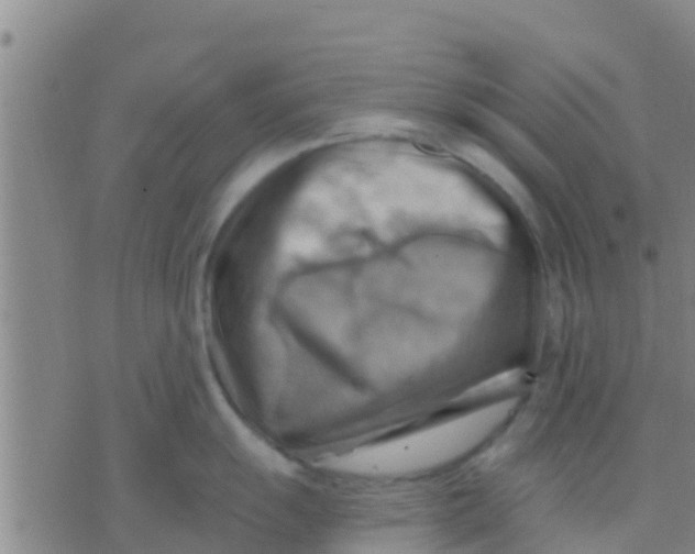 X0000075831055200610061817