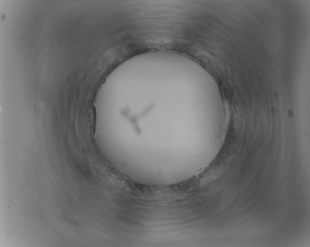 X0000075831057200610061816