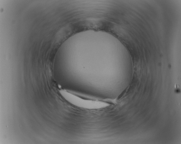 X0000075831058200610061816