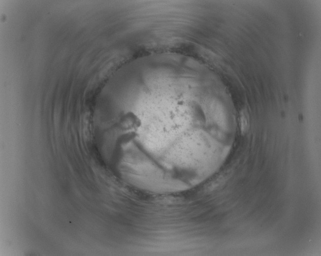 X0000075831059200610061816