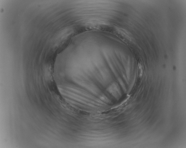 X0000075831060200610061816