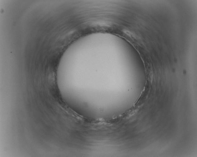 X0000075831061200610061816