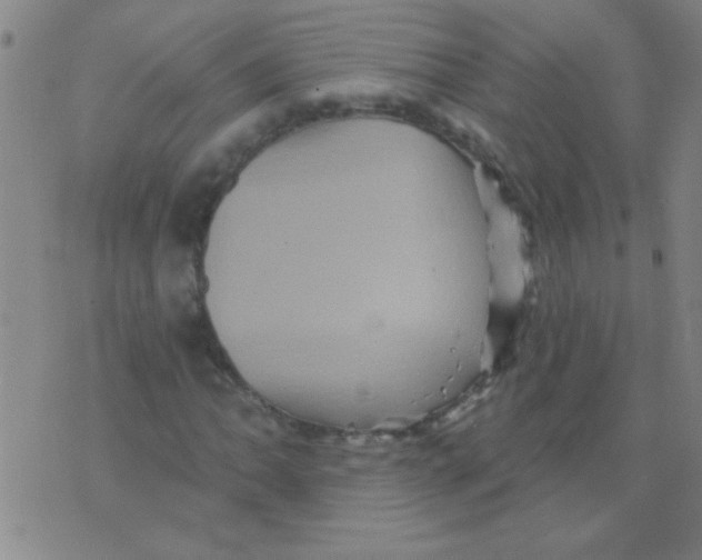 X0000075831062200610061816