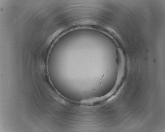 X0000075831065200610061816