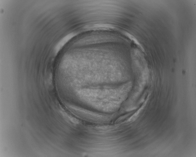 X0000075831066200610061816