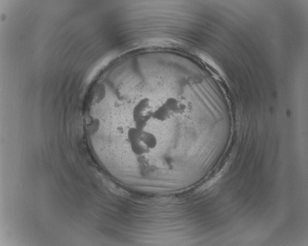 X0000075831067200610061816