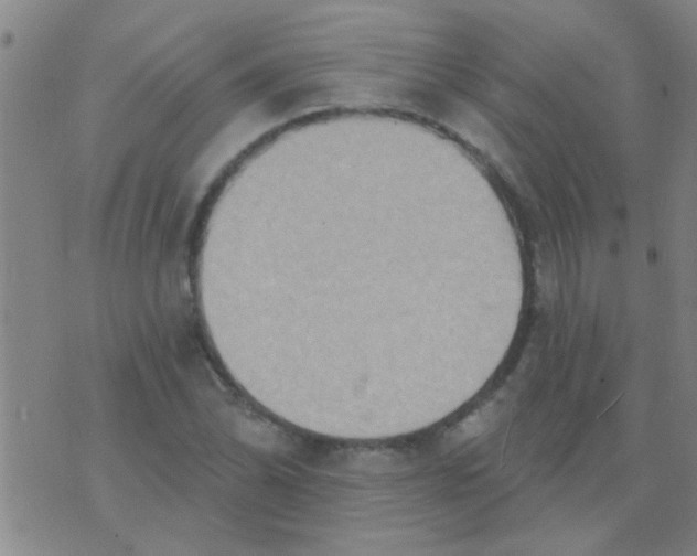 X0000075831070200610061816