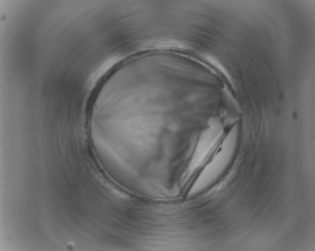 X0000075831071200610061816