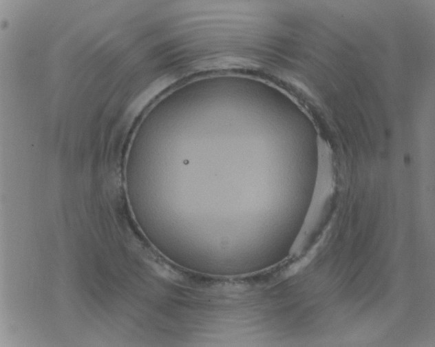 X0000075831073200610061816