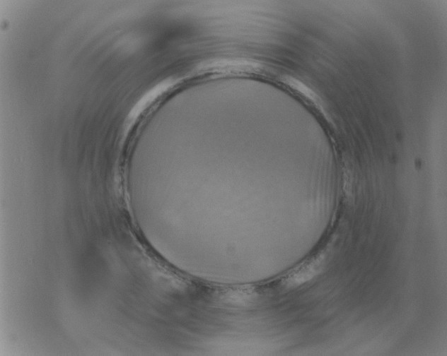 X0000075831074200610061816