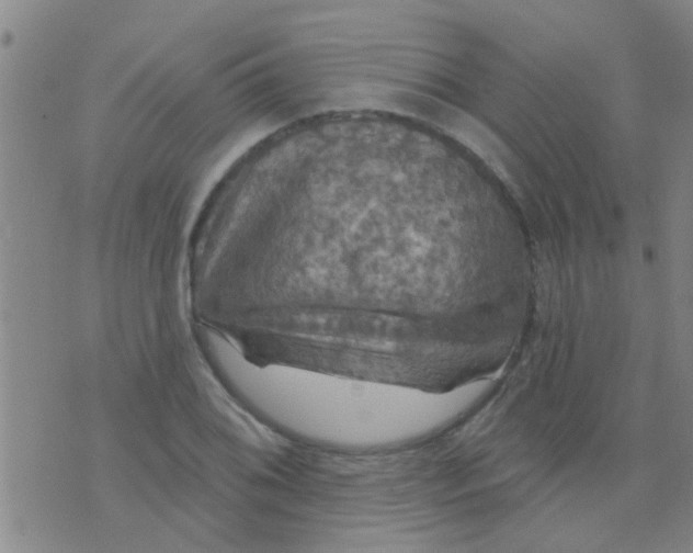 X0000075831076200610061816