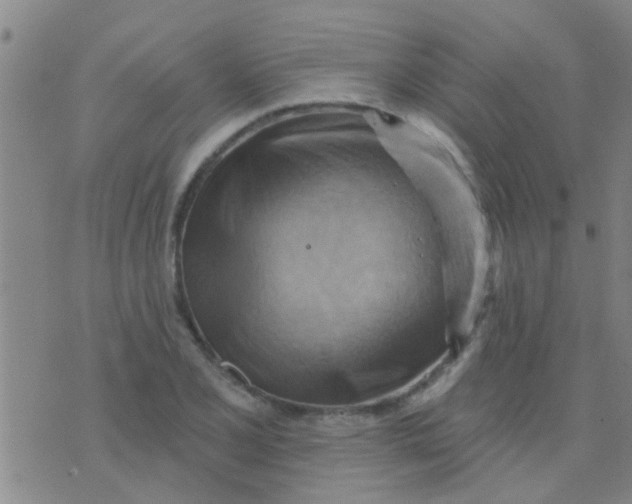 X0000075831077200610061816