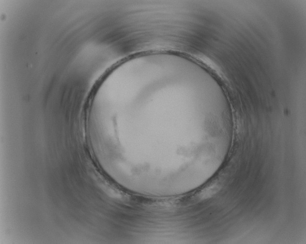 X0000075831078200610061816